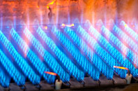Newlandsmuir gas fired boilers